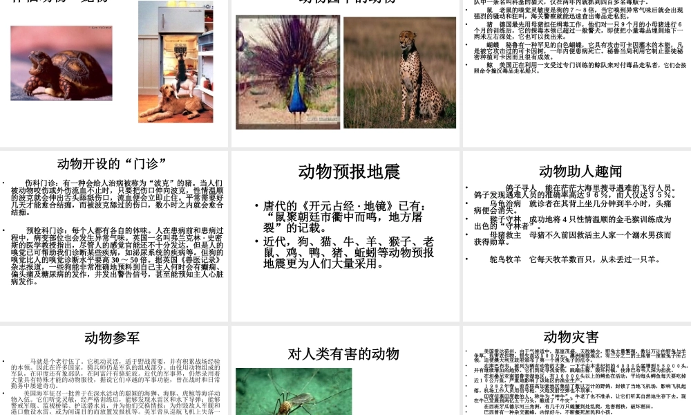 八年级生物上册 动物与人类生活的关系1课件 人教新课标版