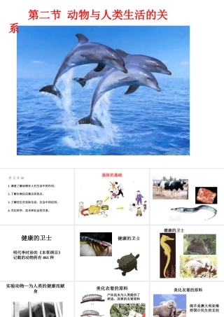 八年级生物上册 动物与人类生活的关系1课件 人教新课标版