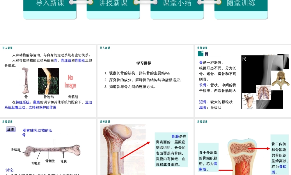 八年级生物上册 第15章 第2节 动物运动的方式（第1课时）课件 （新版）北师大版-（新版）北师大版初中八年级上册生物课件