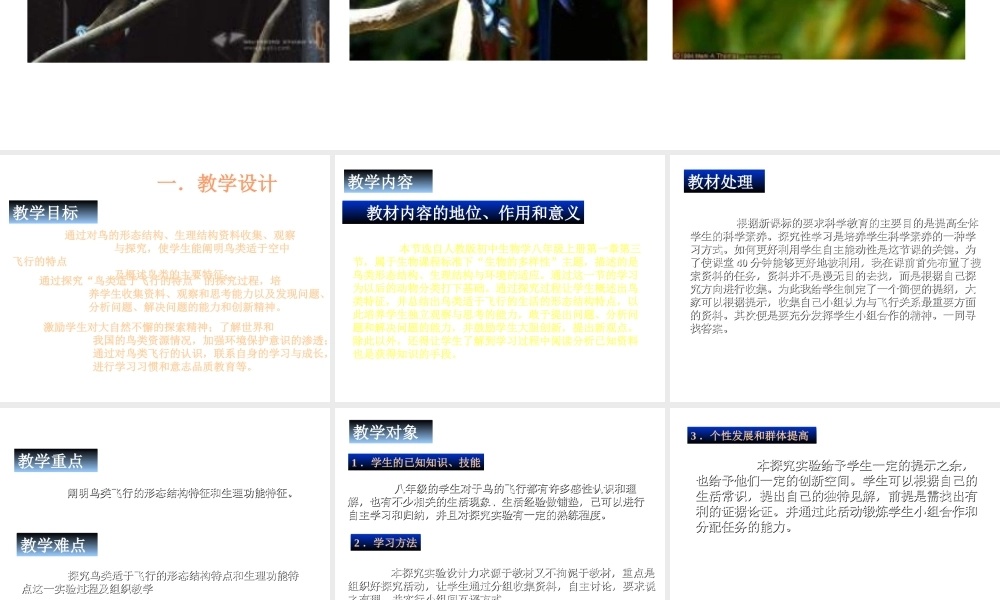 八年级生物上册 动物与人类生活的关系2课件 人教新课标版