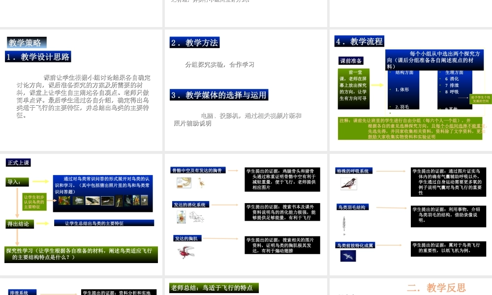 八年级生物上册 动物与人类生活的关系2课件 人教新课标版