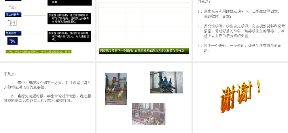 八年级生物上册 动物与人类生活的关系2课件 人教新课标版