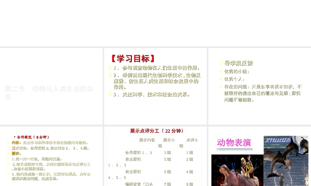 八年级生物上册 动物与人类生活的关系课件 人教新课标版