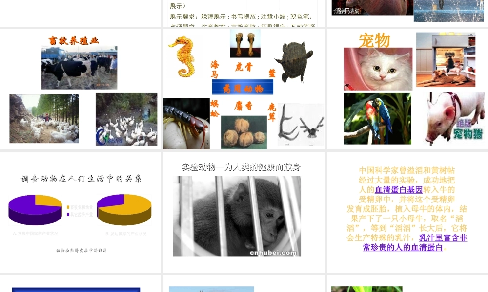 八年级生物上册 动物与人类生活的关系课件 人教新课标版