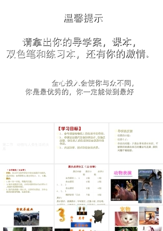 八年级生物上册 动物与人类生活的关系课件 人教新课标版