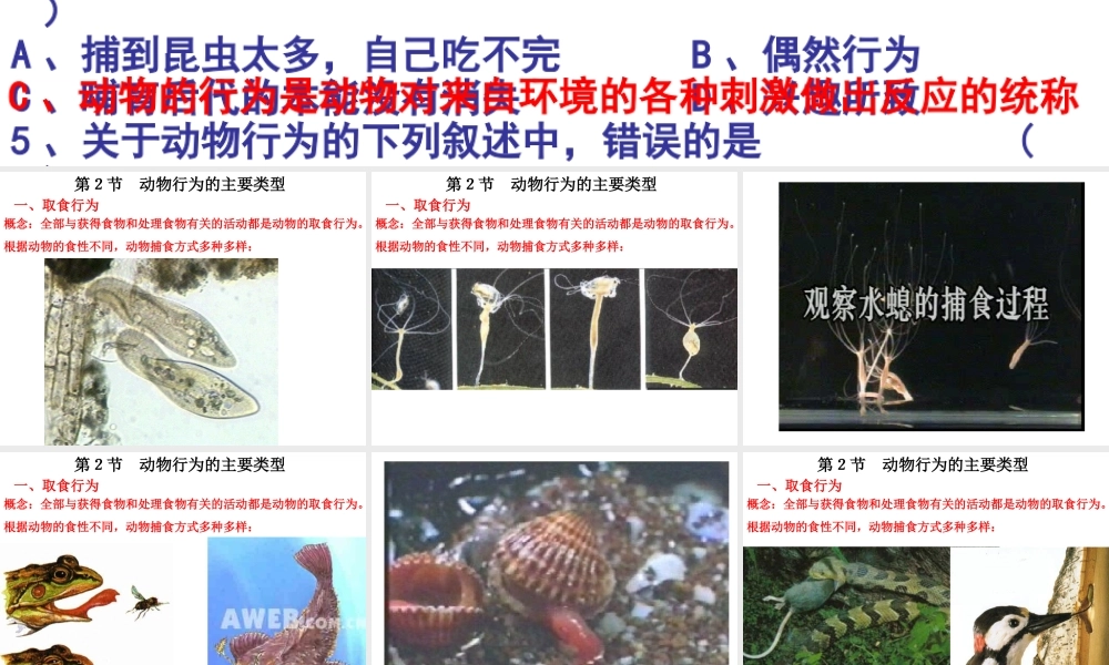 八年级生物上册 生物动物行为的主要类型课件 苏教版