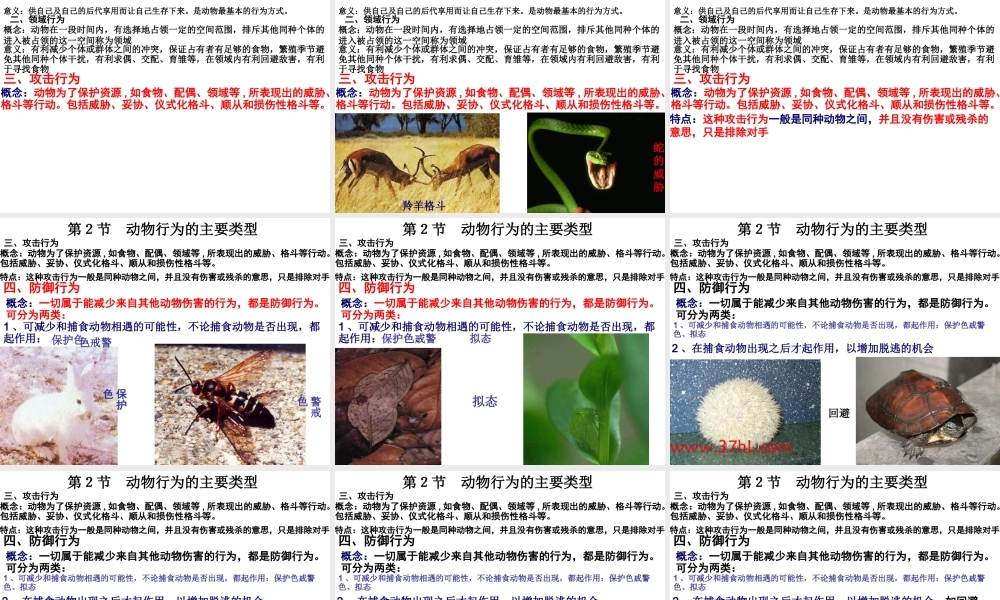 八年级生物上册 生物动物行为的主要类型课件 苏教版