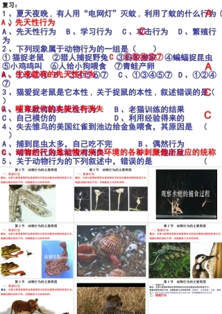 八年级生物上册 生物动物行为的主要类型课件 苏教版