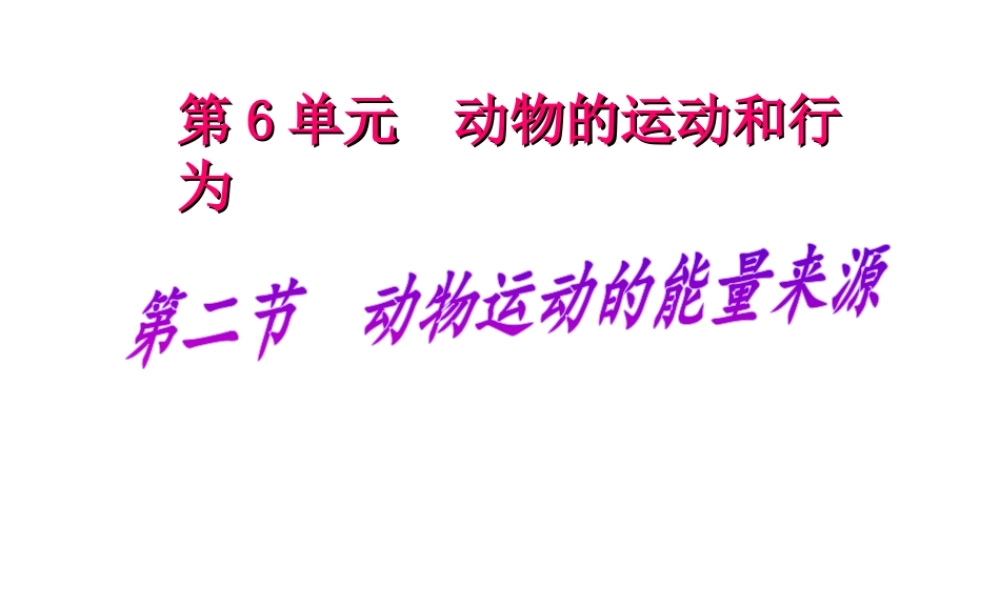 八年级生物上册 动物运动的能量来源课件 苏教版