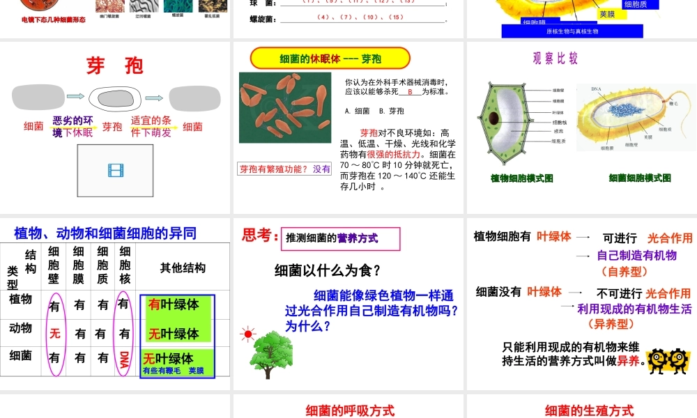 八年级生物上册 第5单元 第1章 第1节 细菌课件 （新版）冀教版-（新版）冀教级上册生物课件