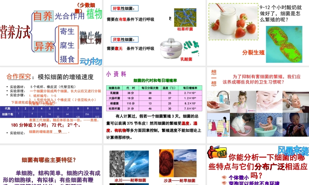 八年级生物上册 第5单元 第1章 第1节 细菌课件 （新版）冀教版-（新版）冀教级上册生物课件