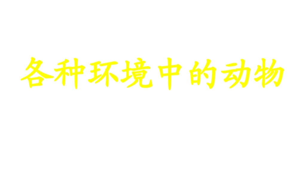 八年级生物上册 水中生活的动物课件 人教新课标版