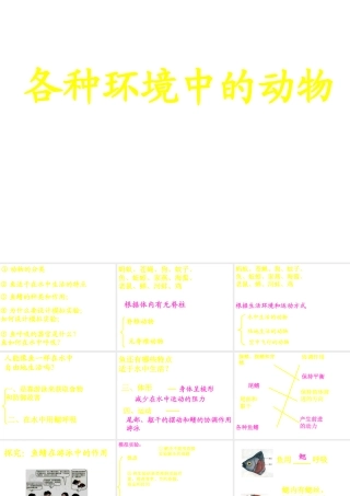 八年级生物上册 水中生活的动物课件 人教新课标版
