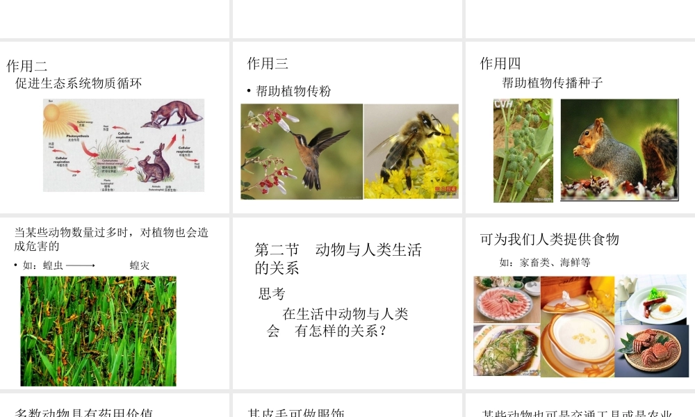 八年级生物上册 动物在生物圈中的作用课件 新人教版