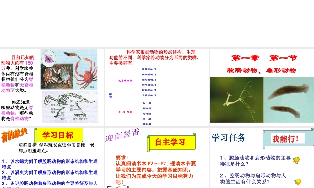 八年级生物上册 第5单元 第1章 第1节《腔肠动物和扁形动物》课件 （新版）新人教版-（新版）新人教版初中八年级上册生物课件