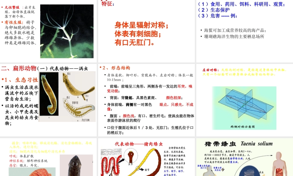 八年级生物上册 第5单元 第1章 第1节《腔肠动物和扁形动物》课件 （新版）新人教版-（新版）新人教版初中八年级上册生物课件