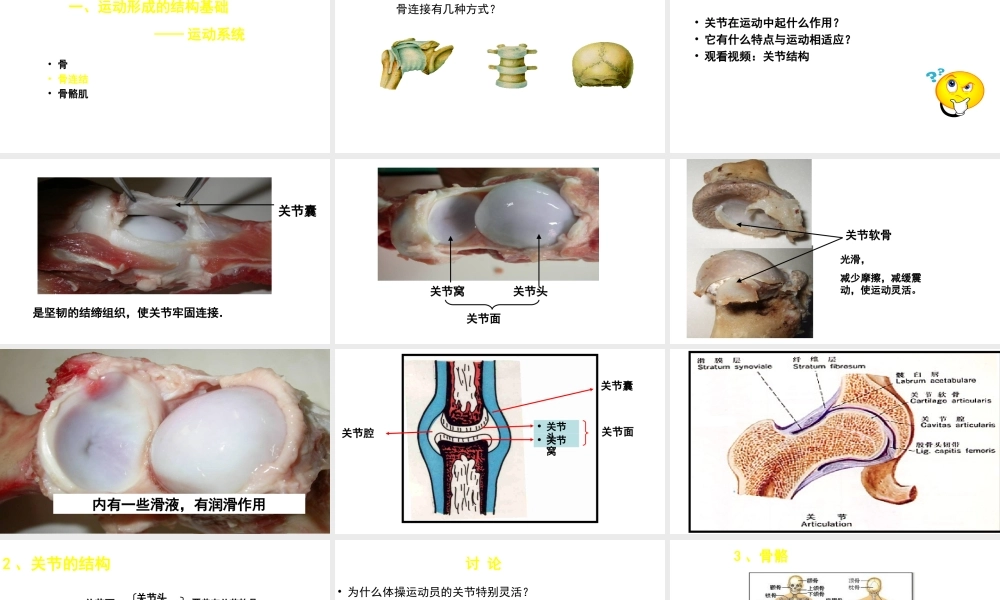 八年级生物上册 第15章 第2节 动物运动的形成（第2课时）课件 北师大版-北师大版初中八年级上册生物课件