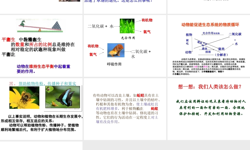 八年级生物上册 动物在生物圈中作用课件 新人教版