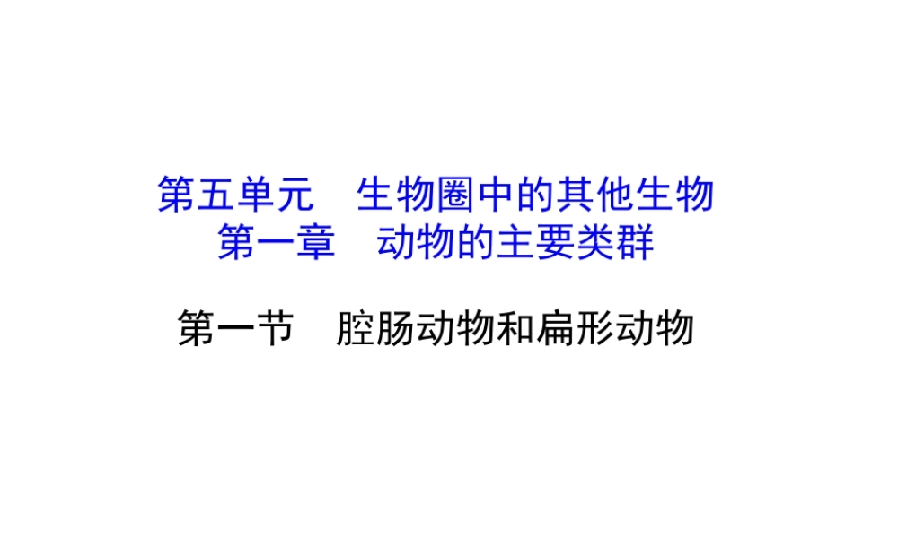 八年级生物上册 探究导学课型 5.1.1 腔肠动物和扁形动物课件 （新版）新人教版-（新版）新人教级上册生物课件