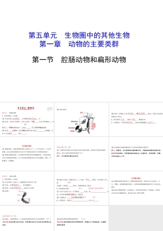 八年级生物上册 探究导学课型 5.1.1 腔肠动物和扁形动物课件 （新版）新人教版-（新版）新人教级上册生物课件