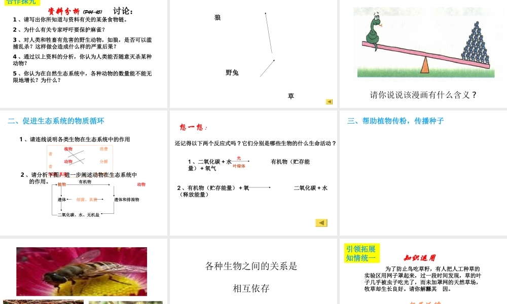 八年级生物上册 动物在自然界中的作用说课课件 人教新课标版