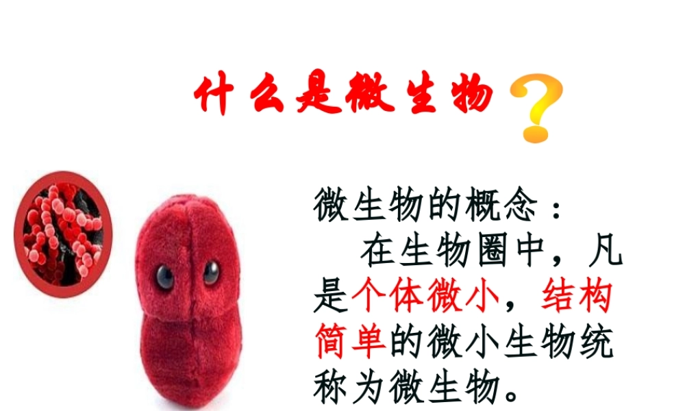 八年级生物上册 第5单元 第1章 第1节《细菌》课件 冀教版-冀教级上册生物课件