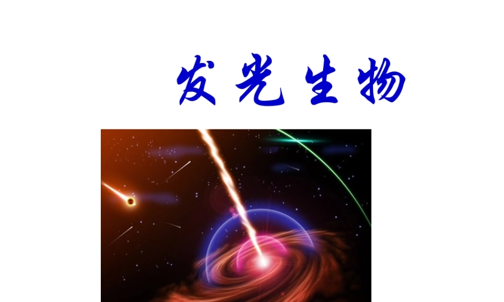 八年级生物上册 发光生物课件 人教新课标版