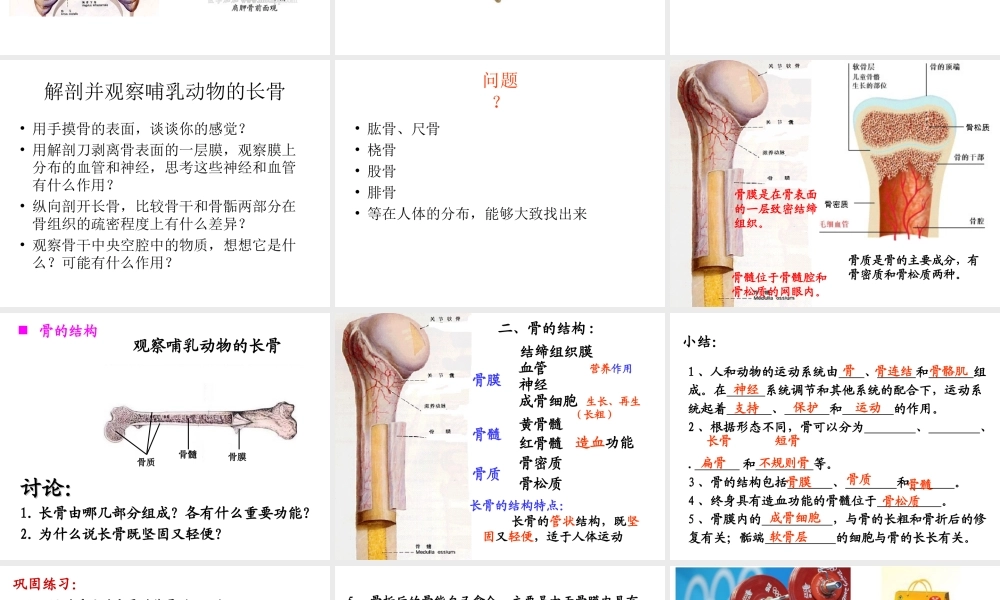 八年级生物上册 第15章 第2节 动物运动的形成课件 北师大版-北师大级上册生物课件