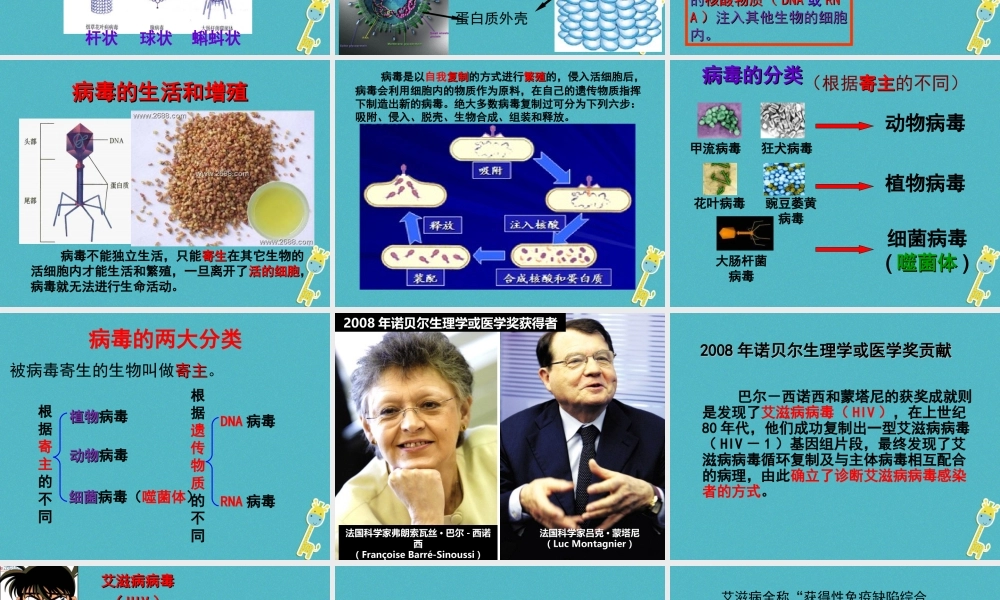八年级生物上册 第5单元 第1章 第2节 病毒课件 （新版）冀教版-（新版）冀教版初中八年级上册生物课件