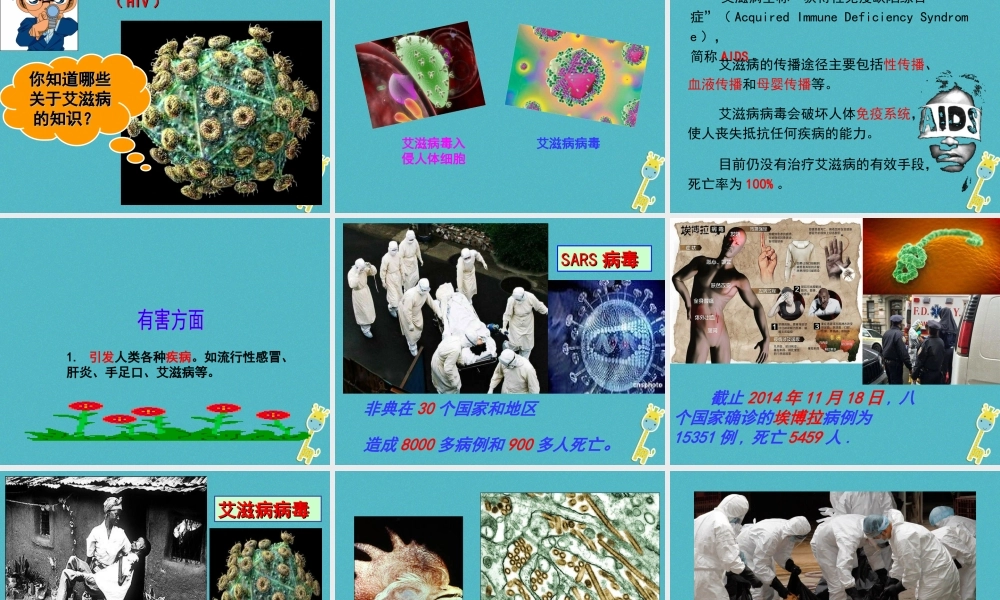 八年级生物上册 第5单元 第1章 第2节 病毒课件 （新版）冀教版-（新版）冀教版初中八年级上册生物课件