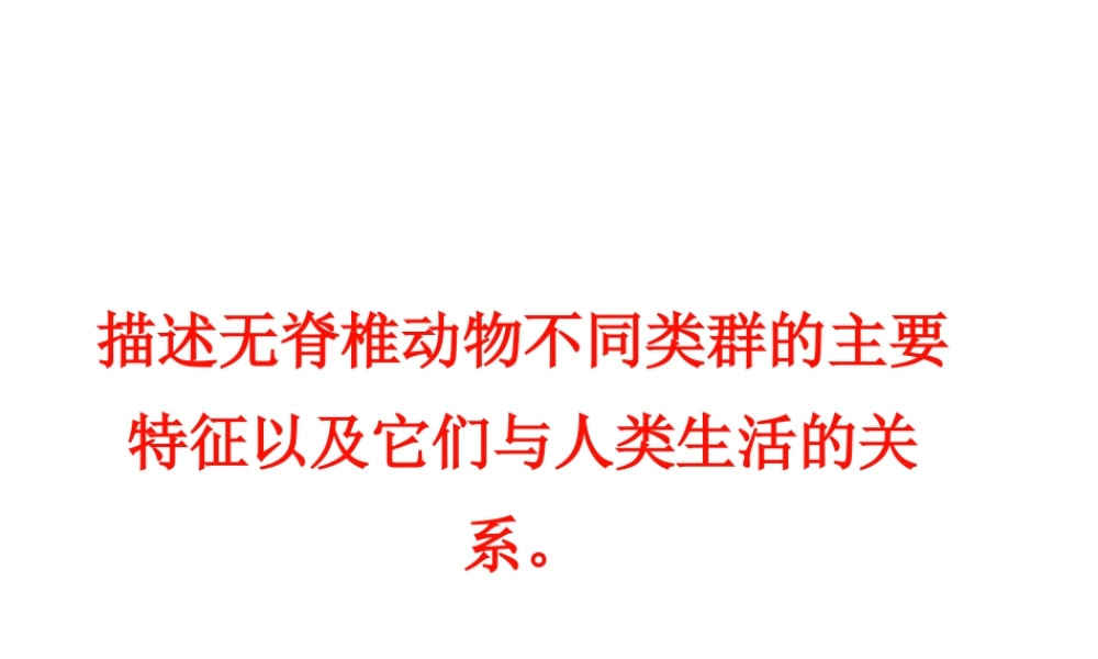 八年级生物上册 复习课件 （新版）新人教版-（新版）新人教版初中八年级上册生物课件