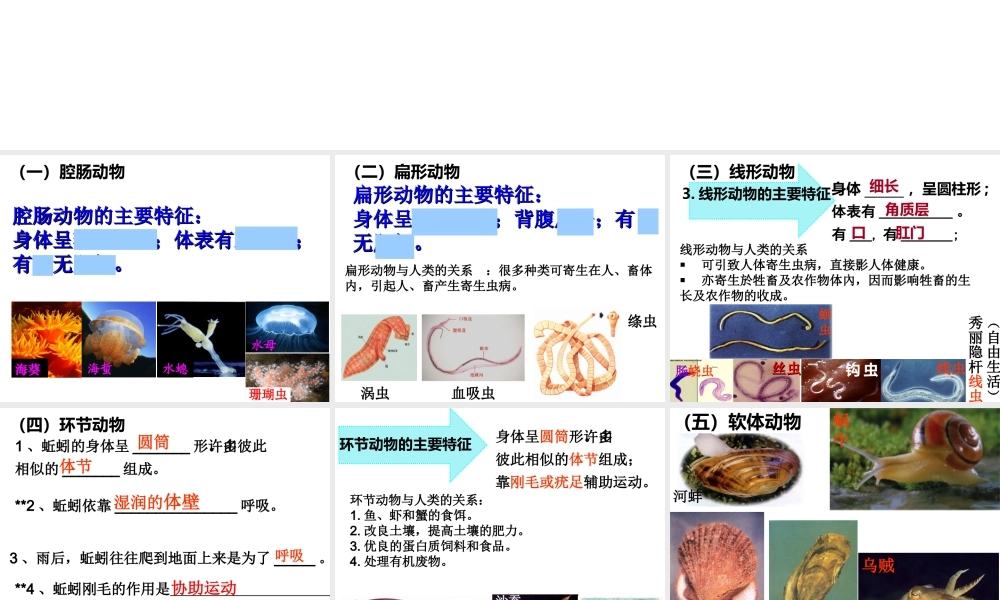 八年级生物上册 复习课件 （新版）新人教版-（新版）新人教版初中八年级上册生物课件