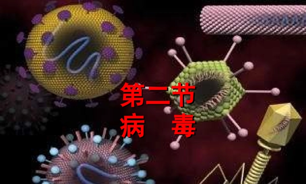 八年级生物上册 第5单元 第1章 第2节 病毒课件 （新版）冀教版-（新版）冀教级上册生物课件
