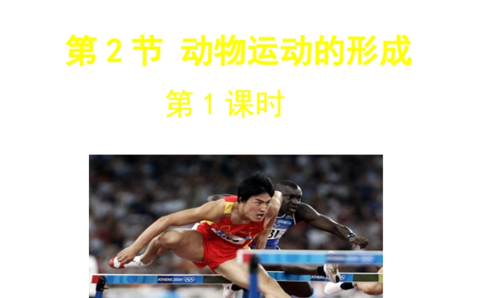 八年级生物上册 第15章 第2节 动物运动的形成课件1（新版）北师大版