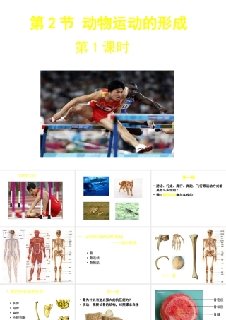 八年级生物上册 第15章 第2节 动物运动的形成课件1（新版）北师大版