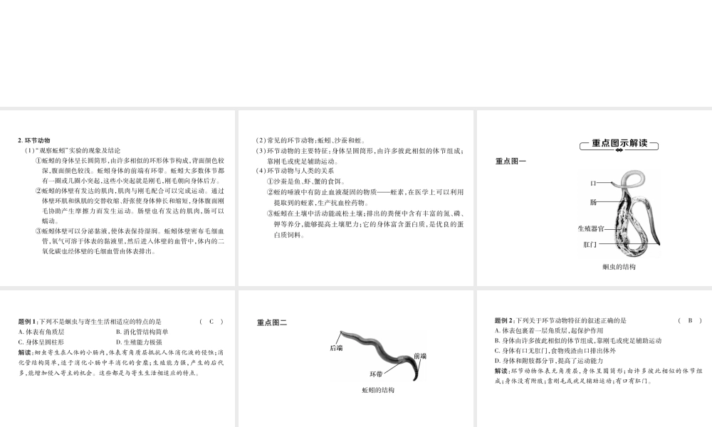 八年级生物上册 第5单元 第1章 第2节 线形动物和环节动物练习课件 （新版）新人教版-（新版）新人教版初中八年级上册生物课件