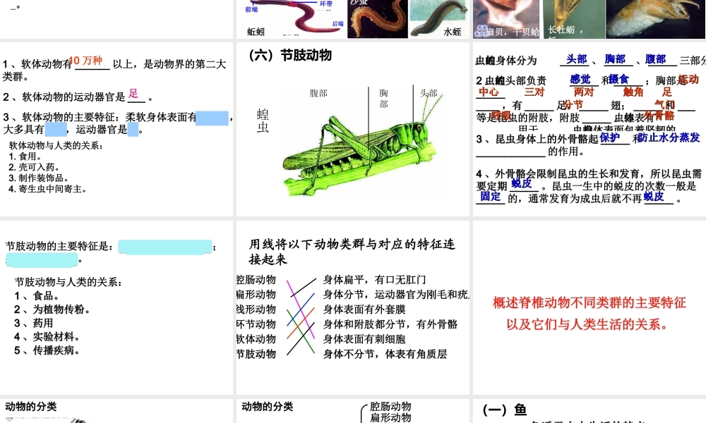 八年级生物上册 复习课件 （新版）新人教版-（新版）新人教级上册生物课件