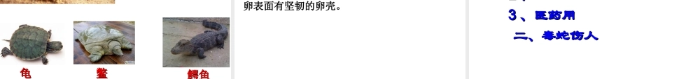 八年级生物上册 复习课件 （新版）新人教版-（新版）新人教级上册生物课件