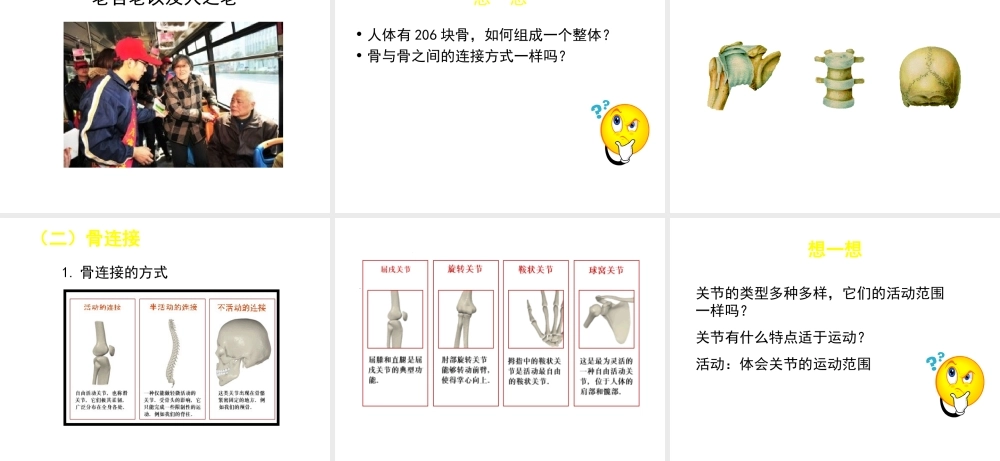八年级生物上册 第15章 第2节 动物运动的形成课件2 （新版）北师大版