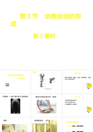 八年级生物上册 第15章 第2节 动物运动的形成课件2 （新版）北师大版