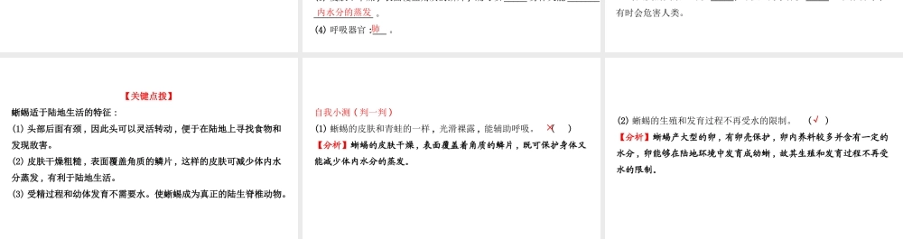 八年级生物上册 探究导学课型 5.1.5 两栖动物和爬行动物课件 （新版）新人教版-（新版）新人教版初中八年级上册生物课件