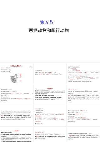 八年级生物上册 探究导学课型 5.1.5 两栖动物和爬行动物课件 （新版）新人教版-（新版）新人教版初中八年级上册生物课件