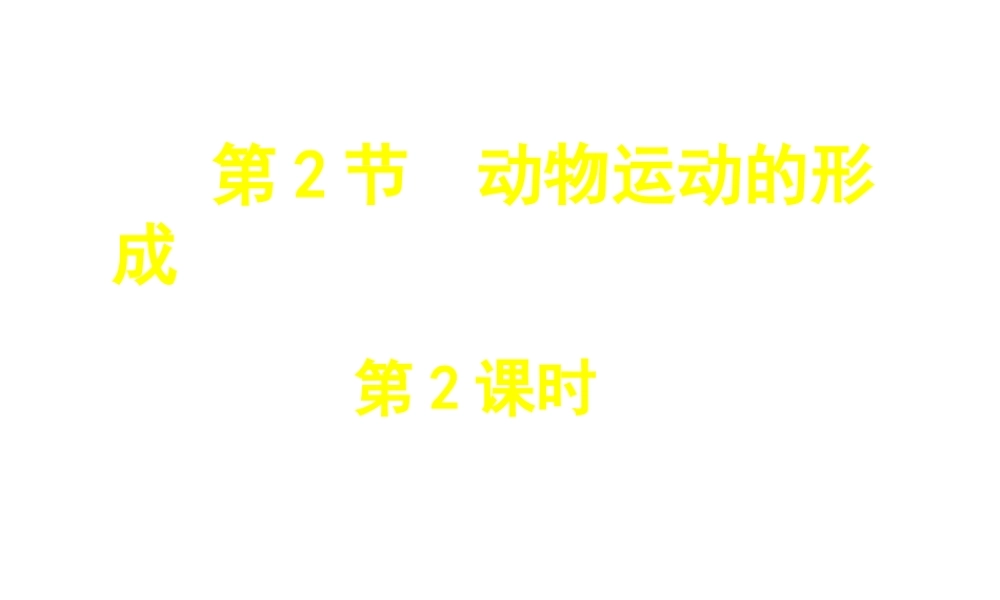 八年级生物上册 第15章 第2节 动物运动的形成课件2（新版）北师大版