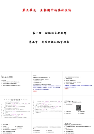 八年级生物上册 第5单元 第1章 第2节 线形动物和环节动物习题课件 （新版）新人教版-（新版）新人教版初中八年级上册生物课件