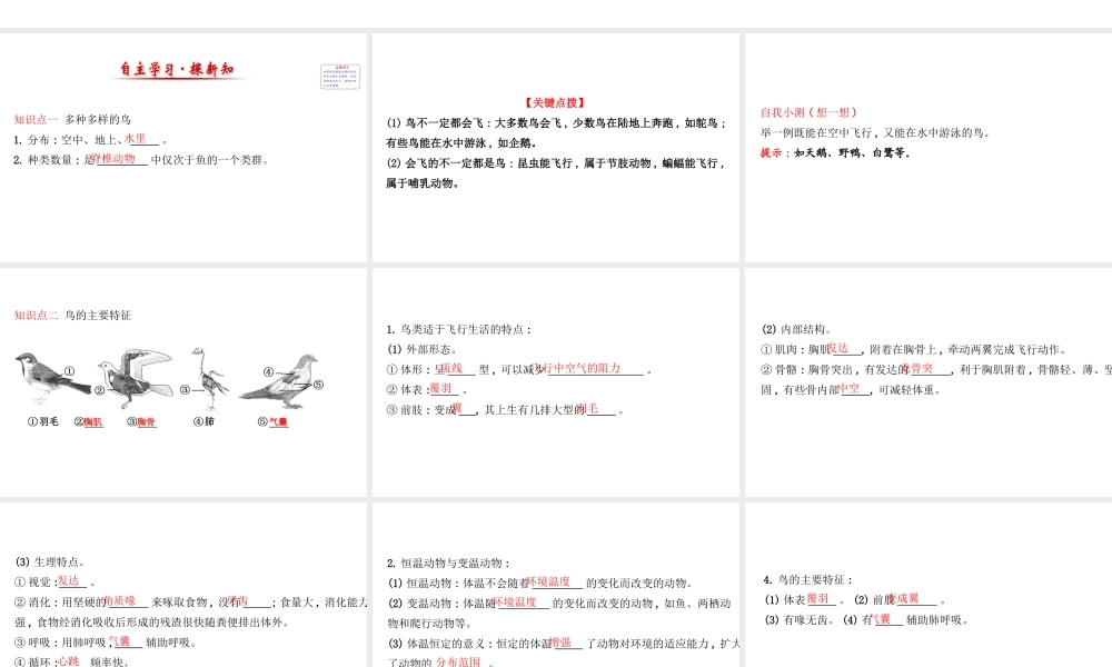 八年级生物上册 探究导学课型 5.1.6 鸟课件 （新版）新人教版-（新版）新人教版初中八年级上册生物课件