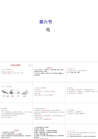 八年级生物上册 探究导学课型 5.1.6 鸟课件 （新版）新人教版-（新版）新人教版初中八年级上册生物课件