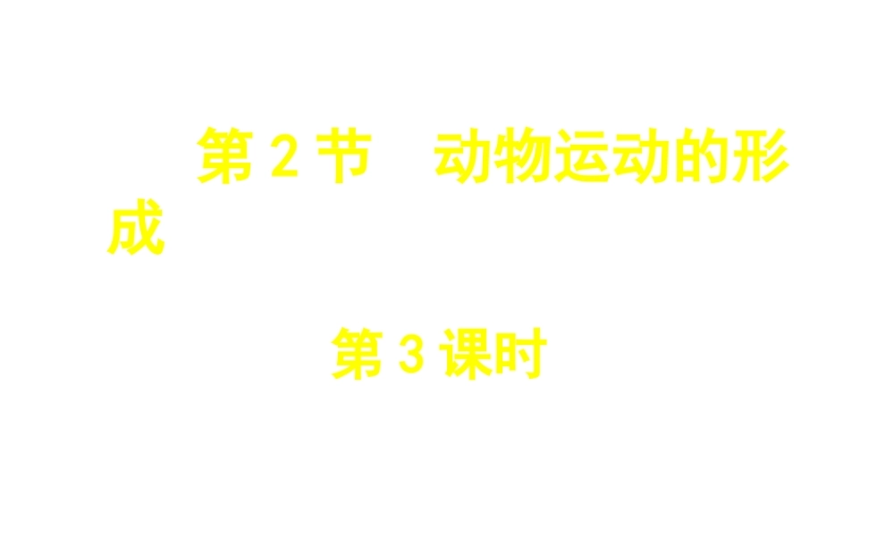 八年级生物上册 第15章 第2节 动物运动的形成课件3 （新版）北师大版