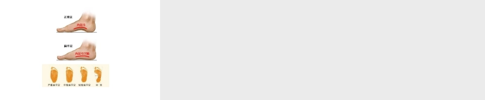 八年级生物上册 第15章 第2节 动物运动的形成课件3 （新版）北师大版