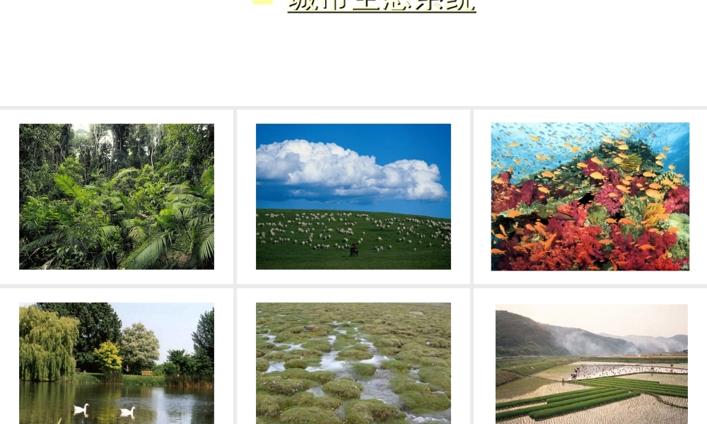 八年级生物上册 各种生态系统课件 人教新课标版