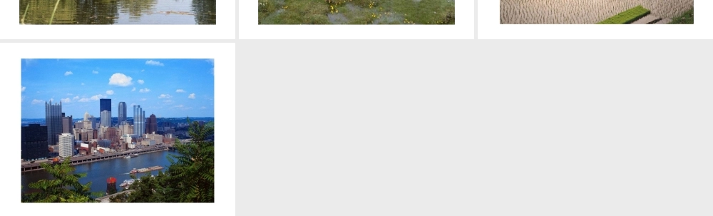 八年级生物上册 各种生态系统课件 人教新课标版